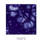 Jungle Gems 2716 - Celestial Blue 118 ml - Thumbnail 1