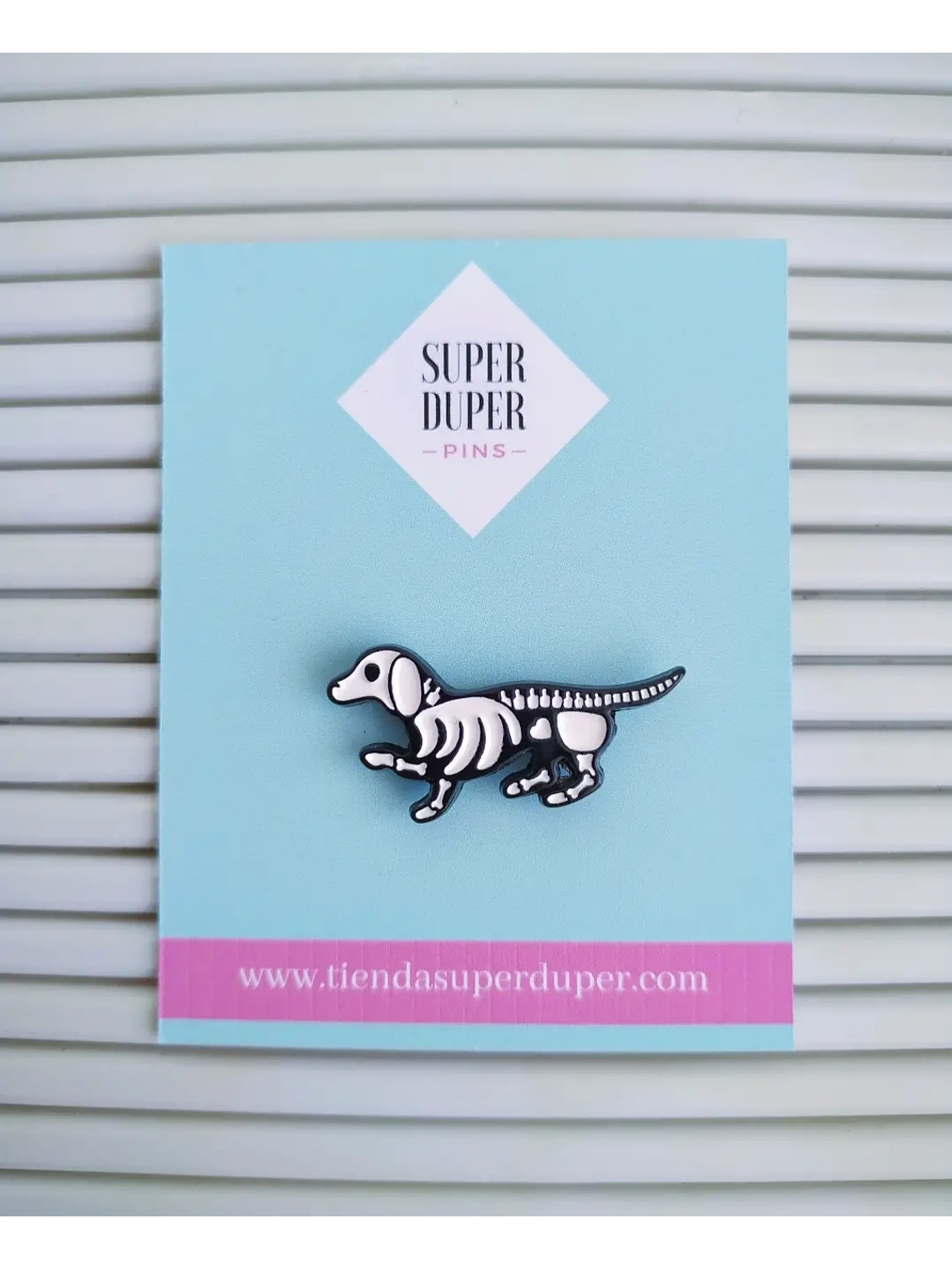 Perro salchicha esqueleto 1