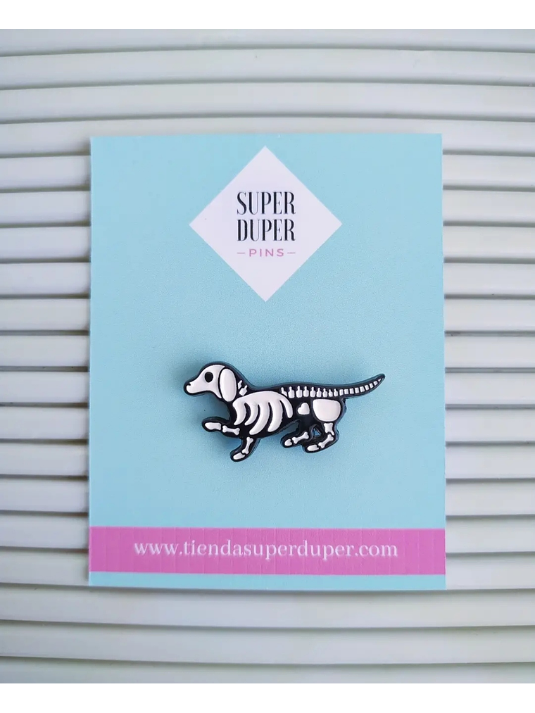 Perro salchicha esqueleto 1