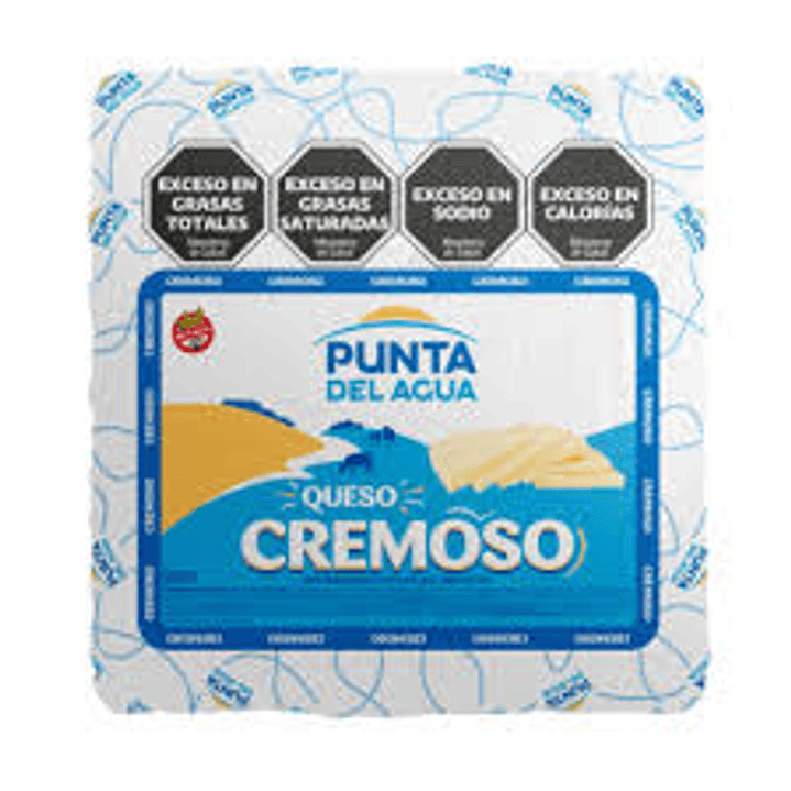 CREMOSO PUNTA DEL AGUA X250G 1