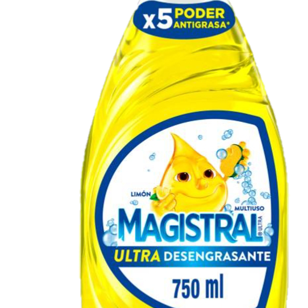 DETERGENTE MAGISTRAL X500ML 1