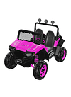 Polaris RZR 900 Pink