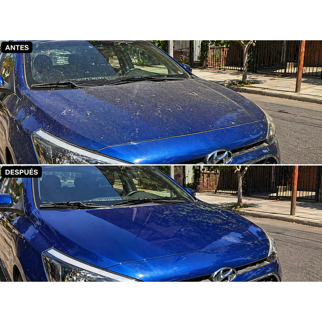 Shampoo en seco con efecto abrillantador 5L