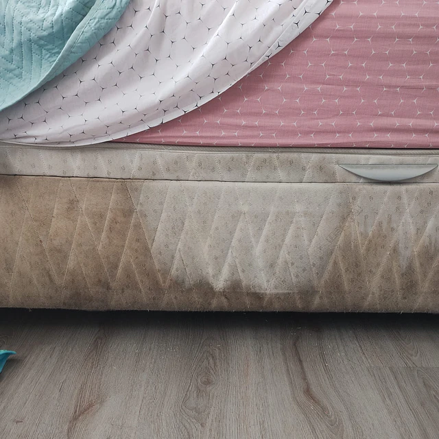 Limpiador de Sillones de Tela