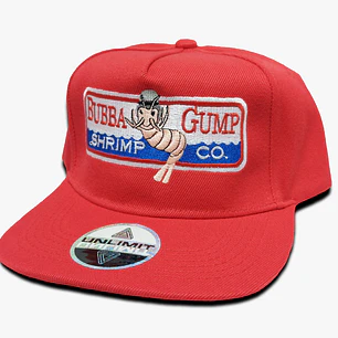 Bubba Gump Snapback