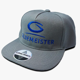 Gildemeister