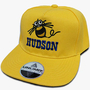 Hudson Soft