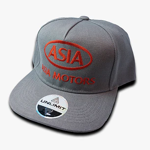 Asia Motors