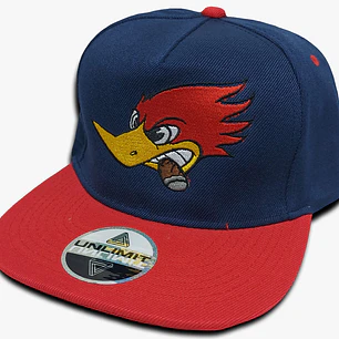 El Pájaro Loco