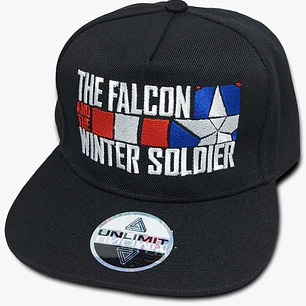 The Falcon and the Winter Soldier