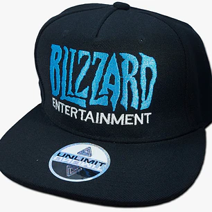 Blizzard Entertainment, Inc