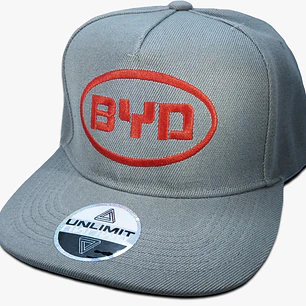 BYD
