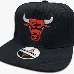 Chicago Bulls