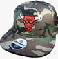 Chicago Bulls - thumbnail 3