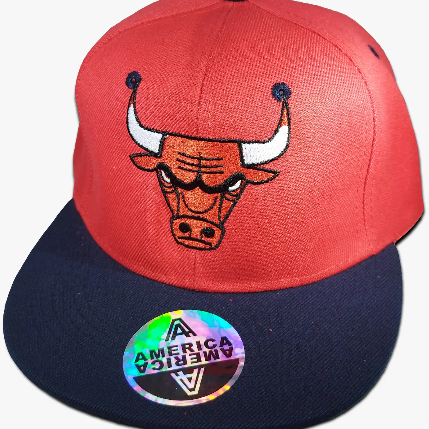 Chicago Bulls 6