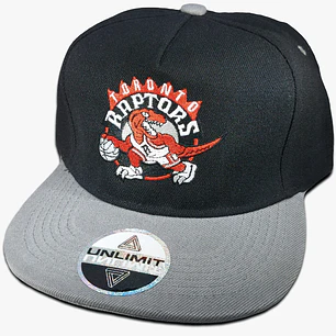 Toronto Raptors