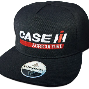 Case Construction
