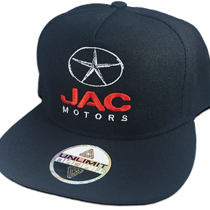JAC Motors 