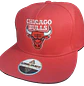 Chicago Bulls - thumbnail 7