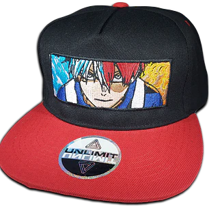 Shoto Todoroki