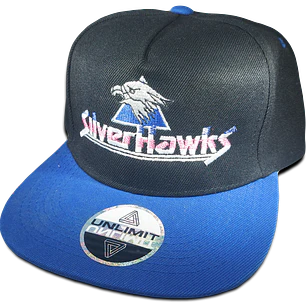 Halcones Galácticos