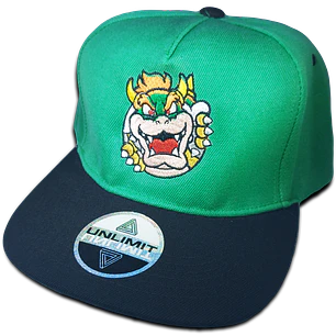 Bowser 2