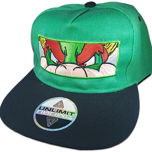 Bowser