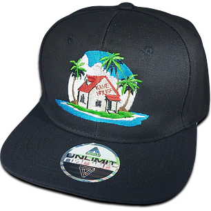 Kame House