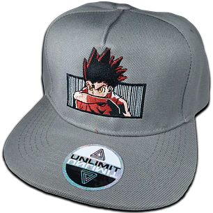 Gon Freecss 
