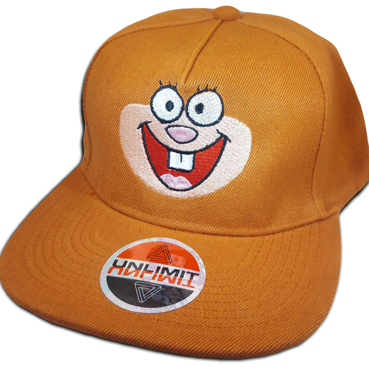 Arenita