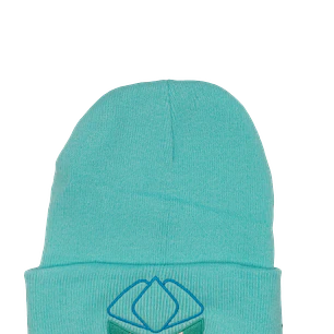 Gorro lana Glaceon