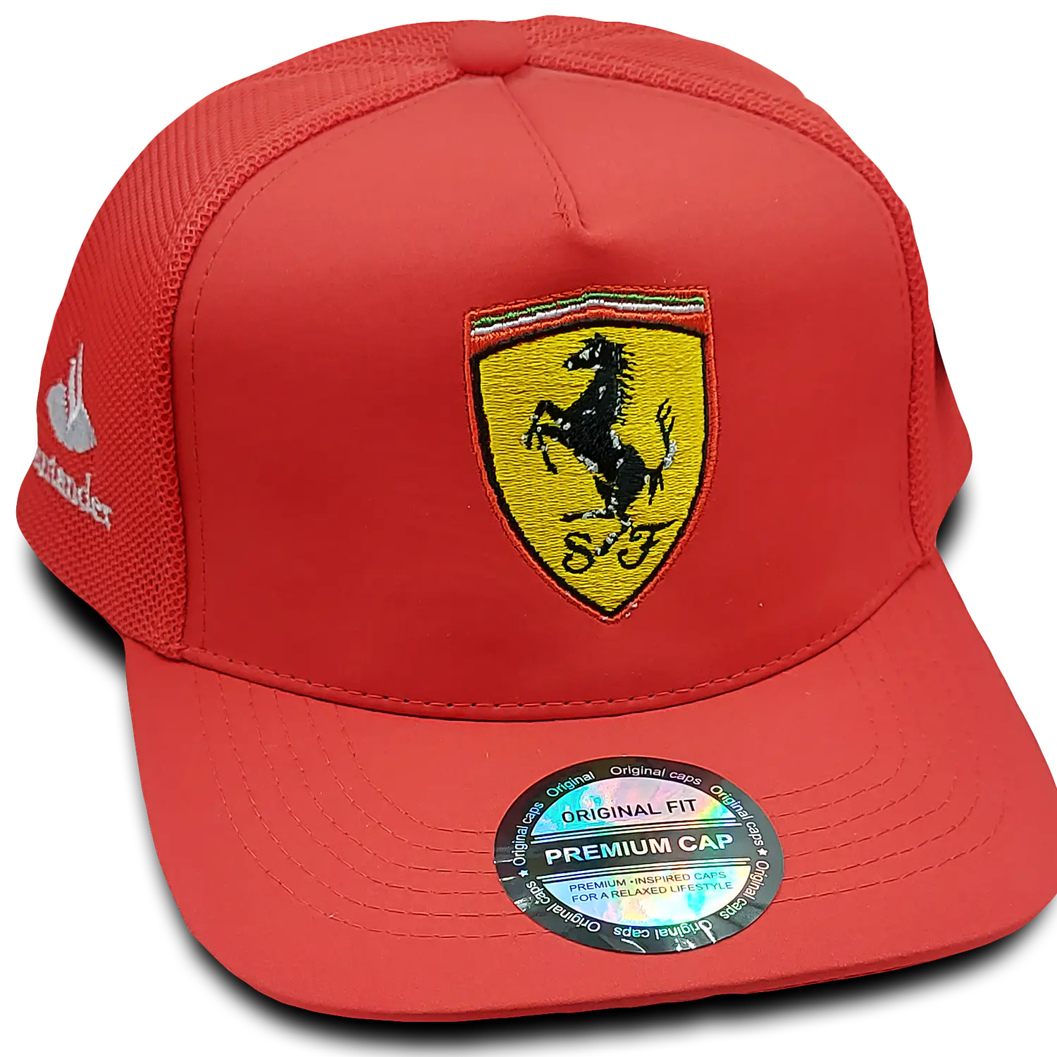 Jockey Ferrari F1