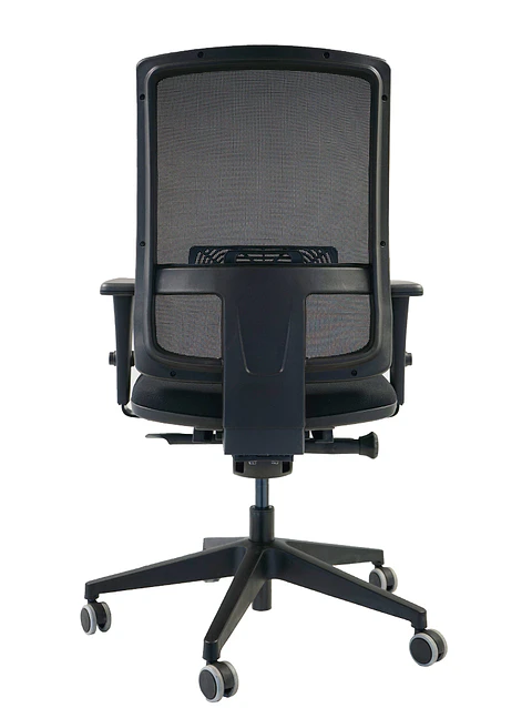 Silla Brizza Premium