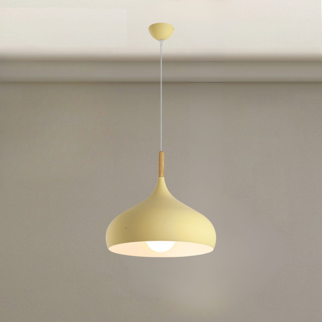 Lámpara Colgante Aria 1