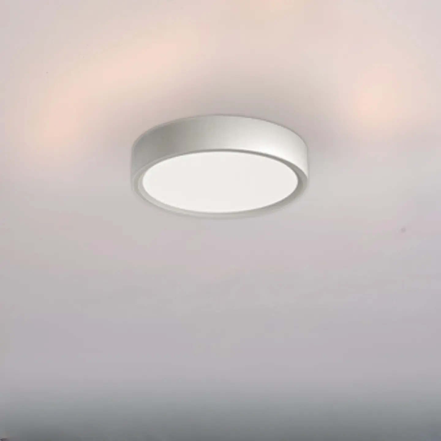 Plafón de Techo 1