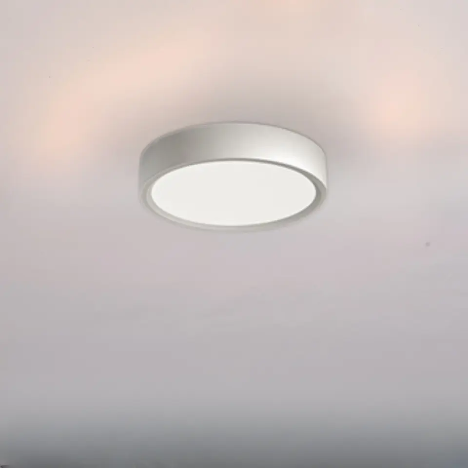 Plafón de Techo 1