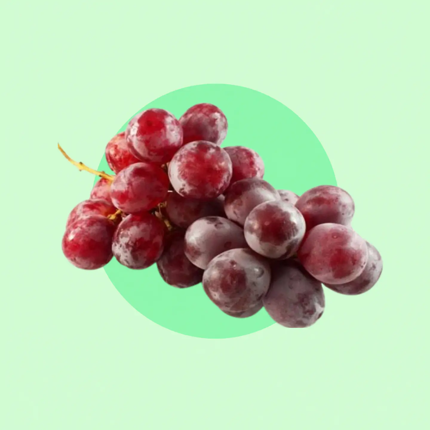 Uva Red Globe 1