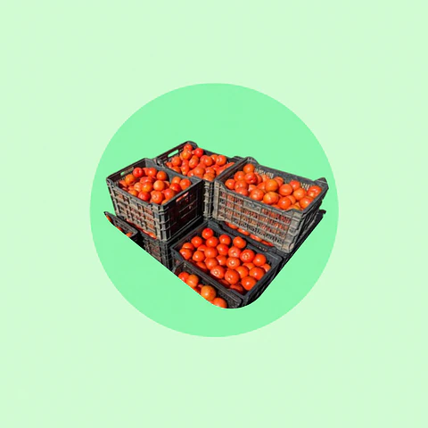 Gamela Tomate Larga Vida