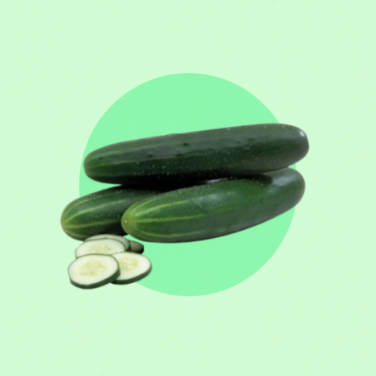 Pack Pepino Ensalada 1
