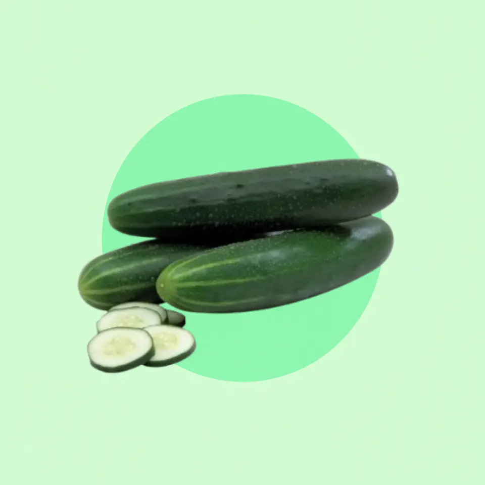 Pack Pepino Ensalada 1