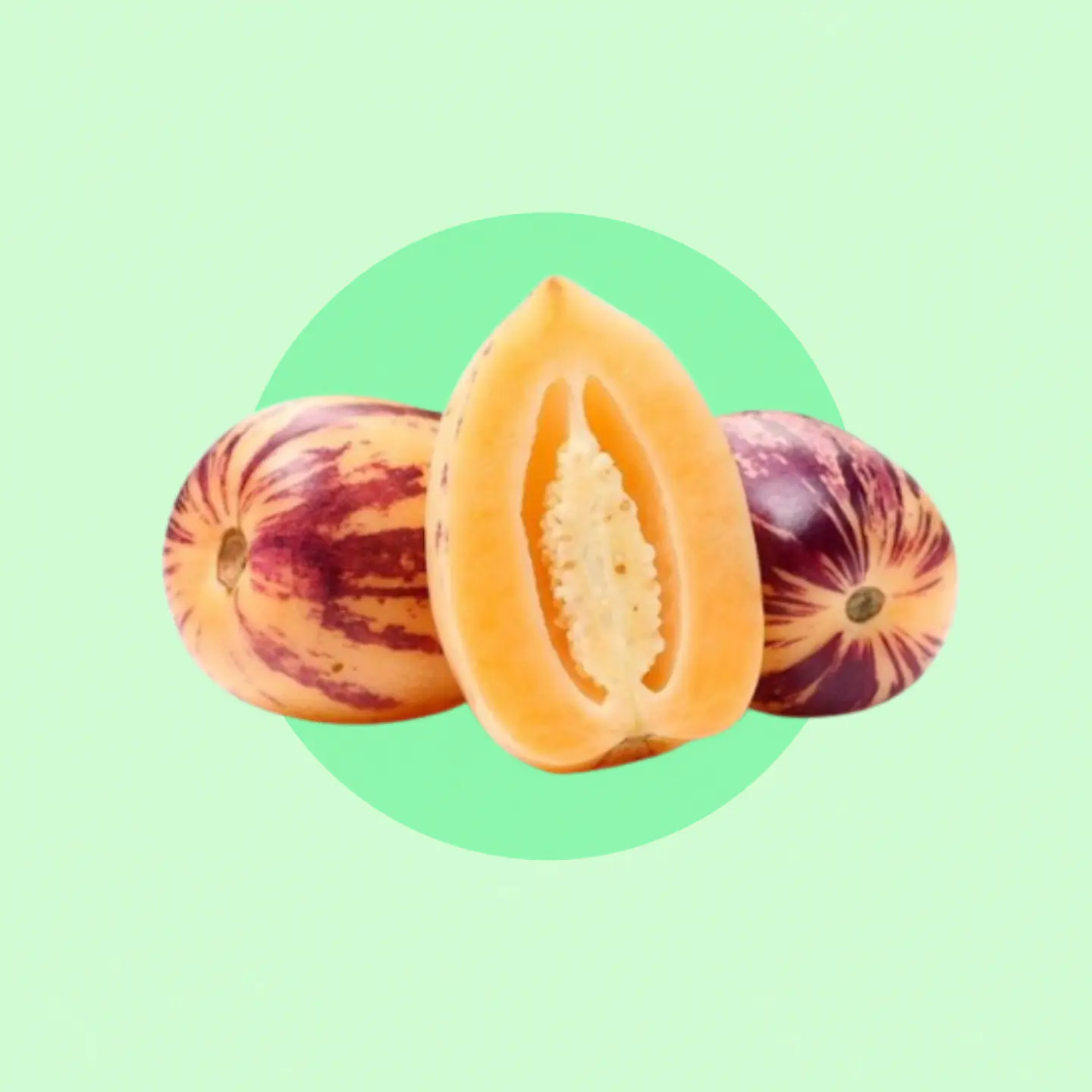 Pepino Fruta  1