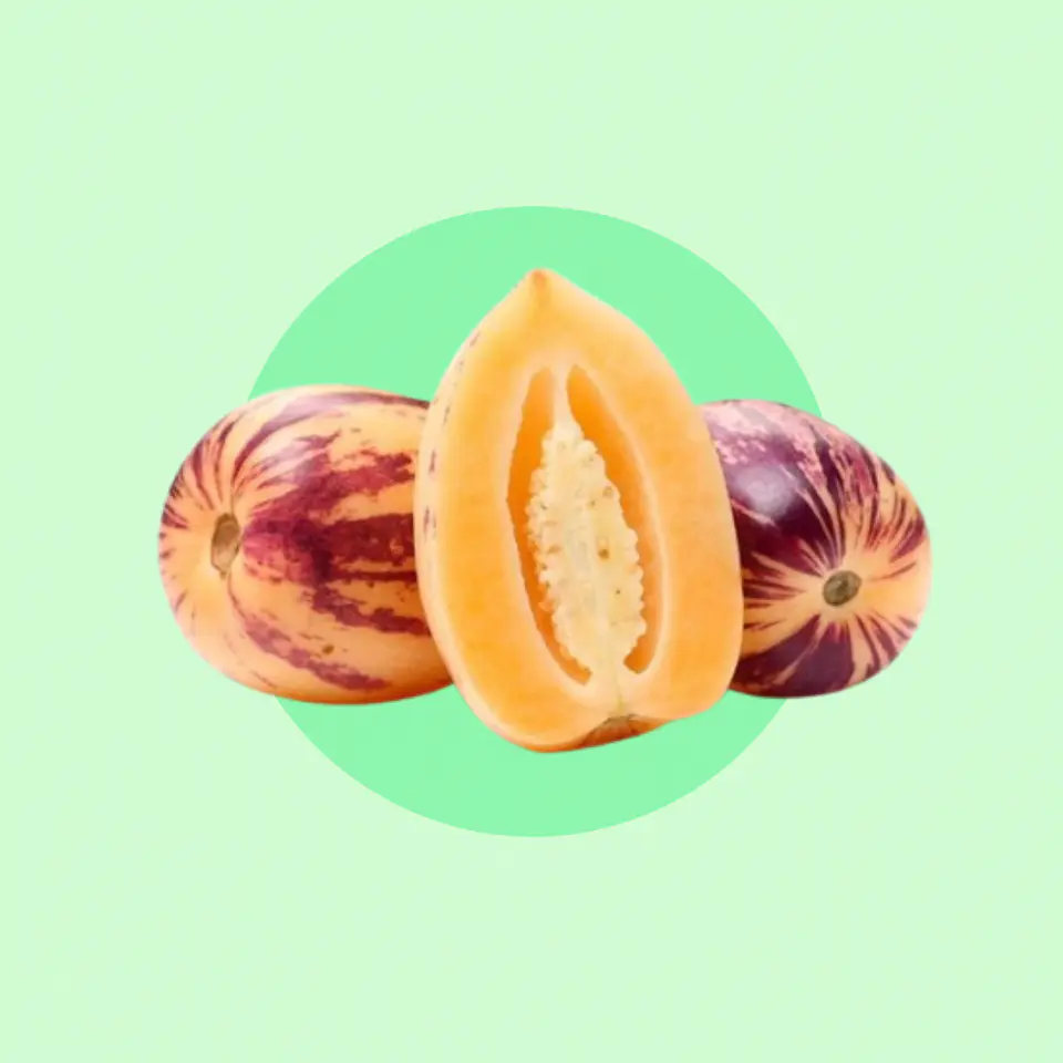 Pepino Fruta  1