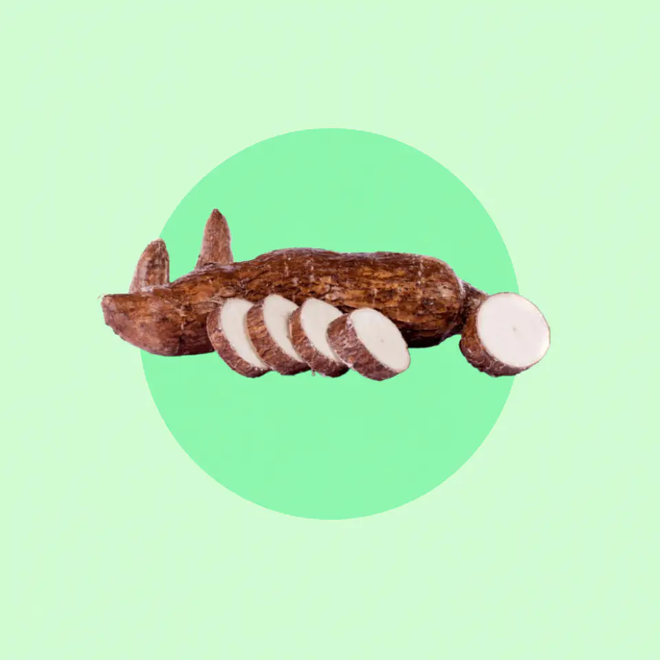 Yuca 1