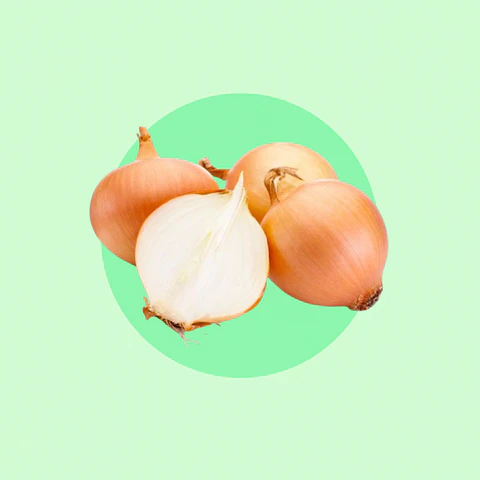 Cebolla Primera