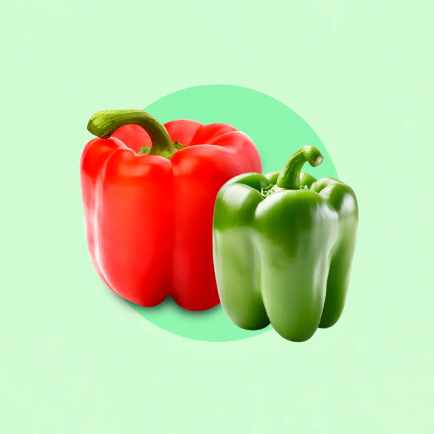 Pack Morrrón Verde y Rojo 1