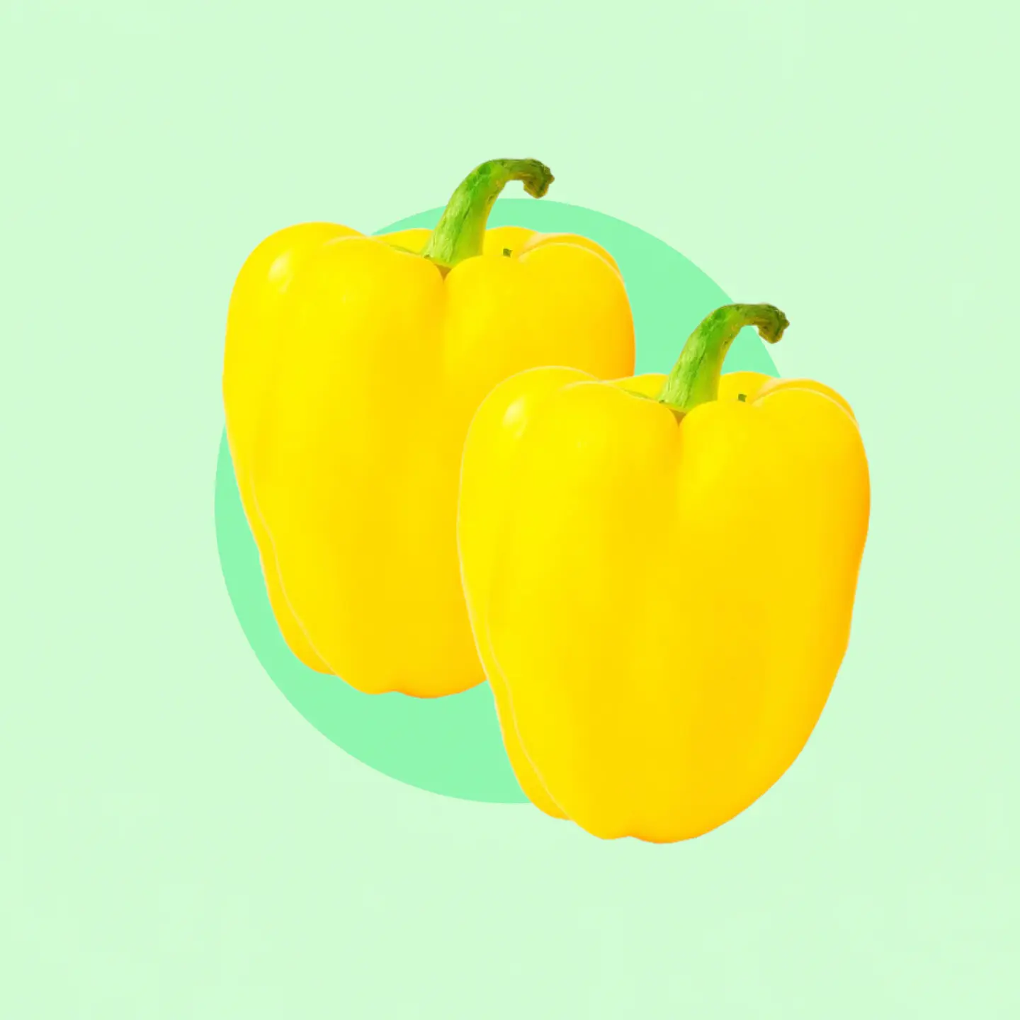 Pack Morrón Amarillo 1