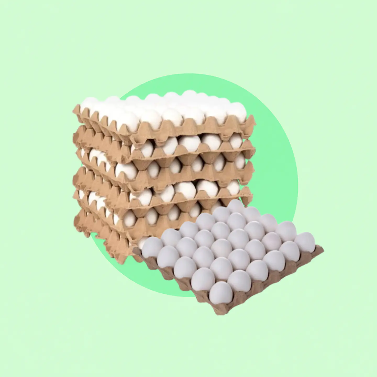 Caja Huevo Primera 1