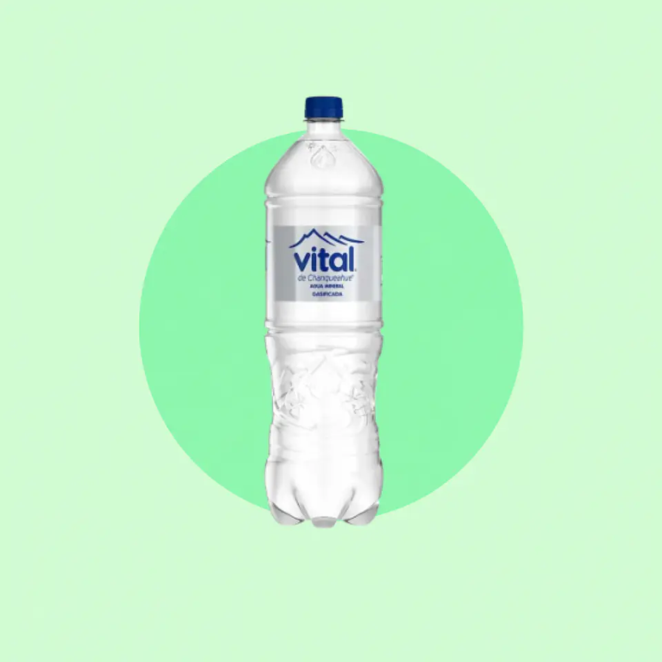 Vital Con Gas 1.6 Litros 1