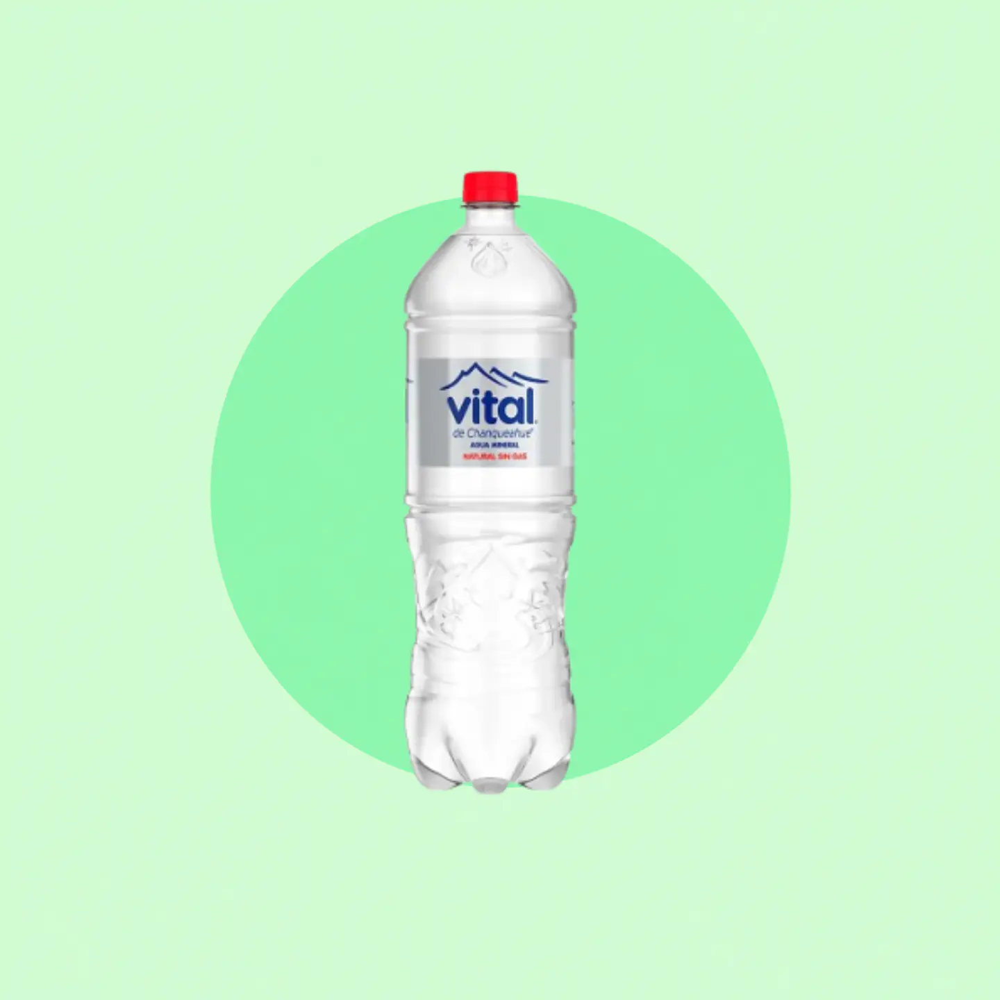 Vital Sin Gas 1.6 Litros 1