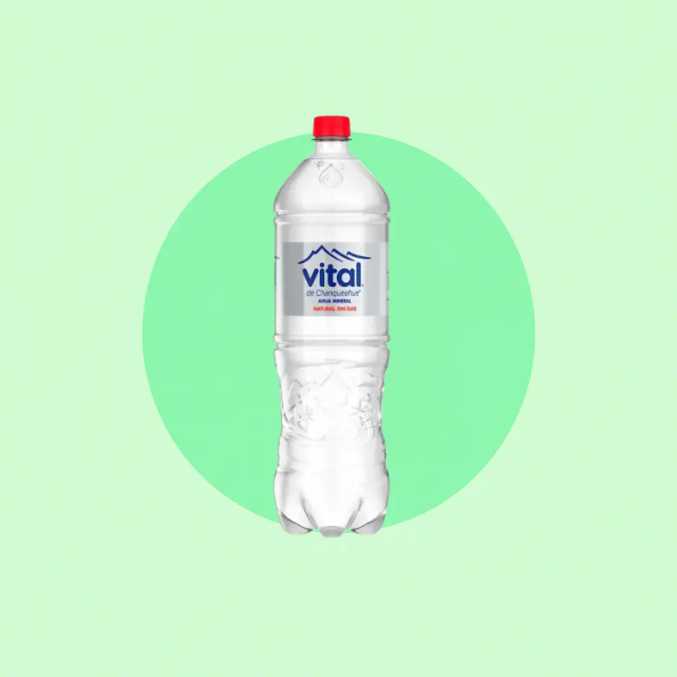 Vital Sin Gas 1.6 Litros 1